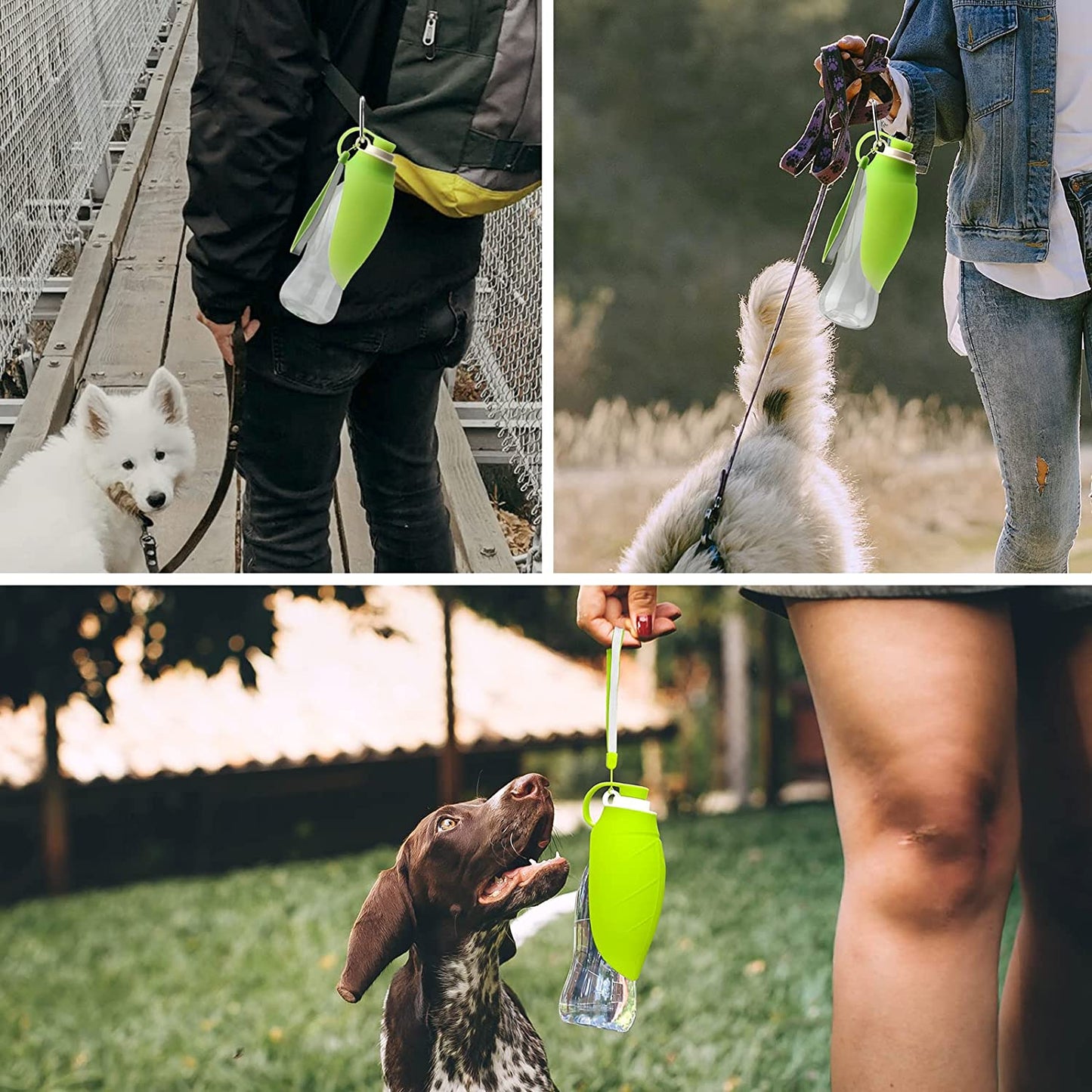 Leak Proof Portable Water Dispenser for Your Wonderful Dog