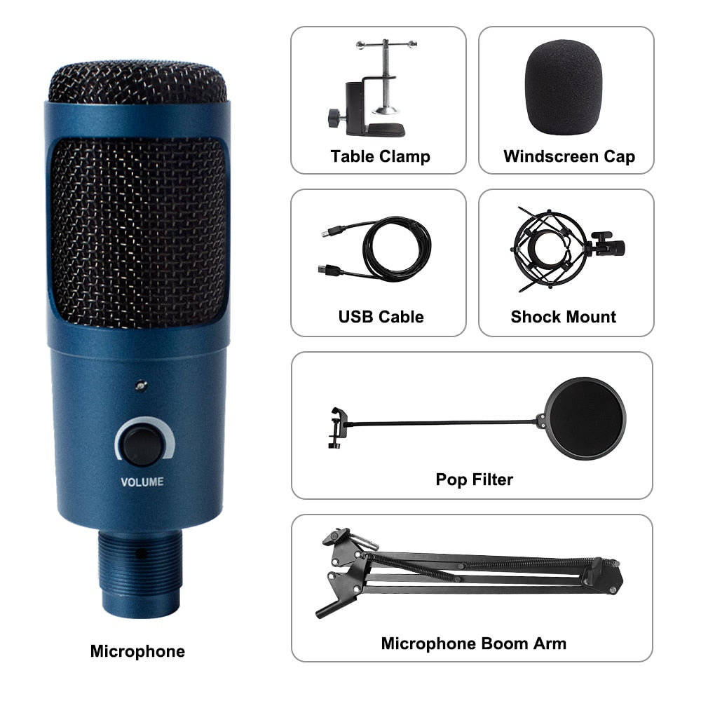 USB Microphone Condenser D80 Recording Microphone with Stand & Ring Light