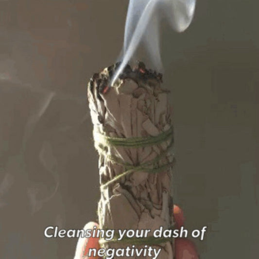 Purify with 5.9" Long Sage in Bundles of 2 - 16 Pieces