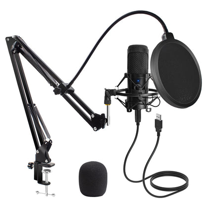 USB Microphone Condenser D80 Recording Microphone with Stand & Ring Light