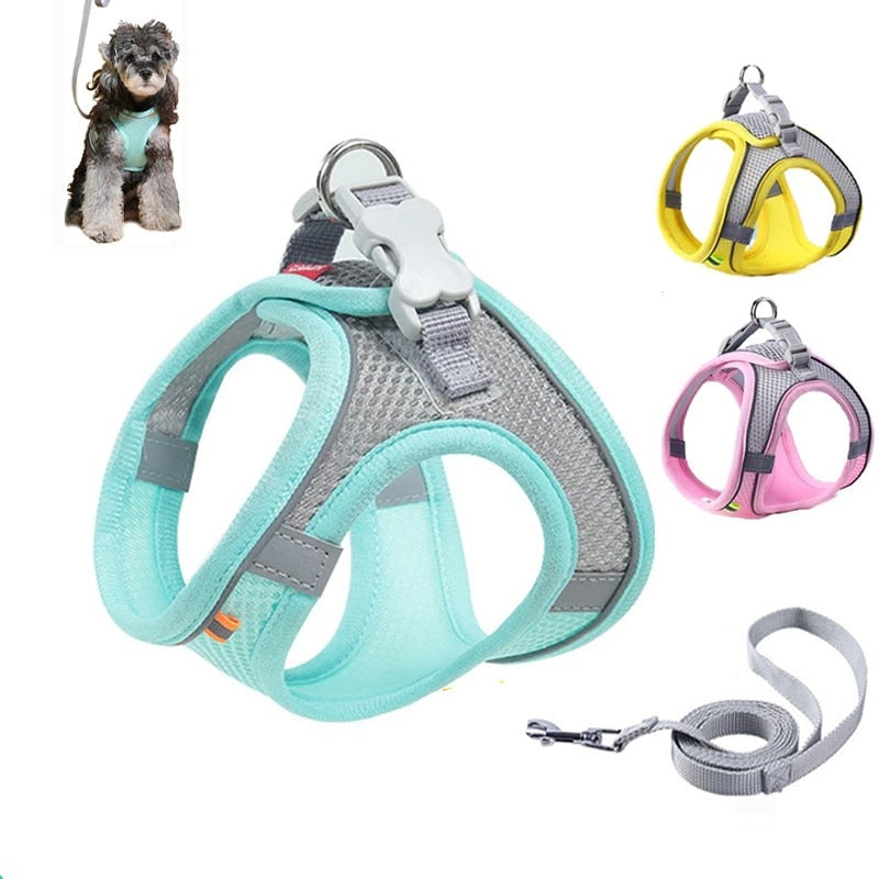 This Beautiful Adjustable Reflective Harness and Leash Set For Pets, with breathable mesh, is comfortable and safe for your much loved pet. 