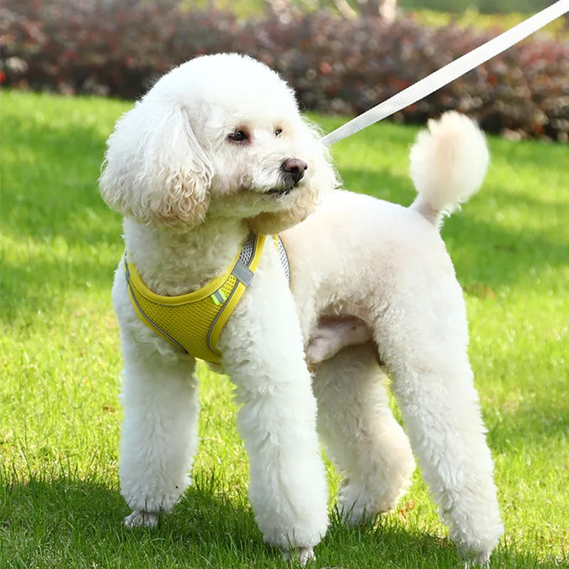 This Beautiful Adjustable Reflective Harness and Leash Set For Pets, with breathable mesh, is comfortable and safe for your much loved pet. The harness is designed to avoid neck injury, the reflective strips make your dog, cat or other pet visible at night time and the leash is 4 feet 9inches (1.5meters) long to make walking easy and comfortable. 